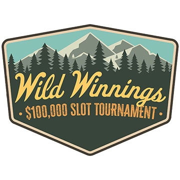 Wild Winnings $100,000