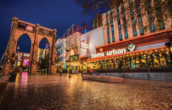 Tom's Urban Bridge